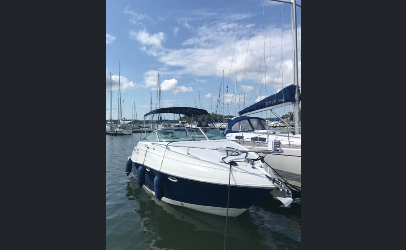 Glastron GS 259-kuva-7